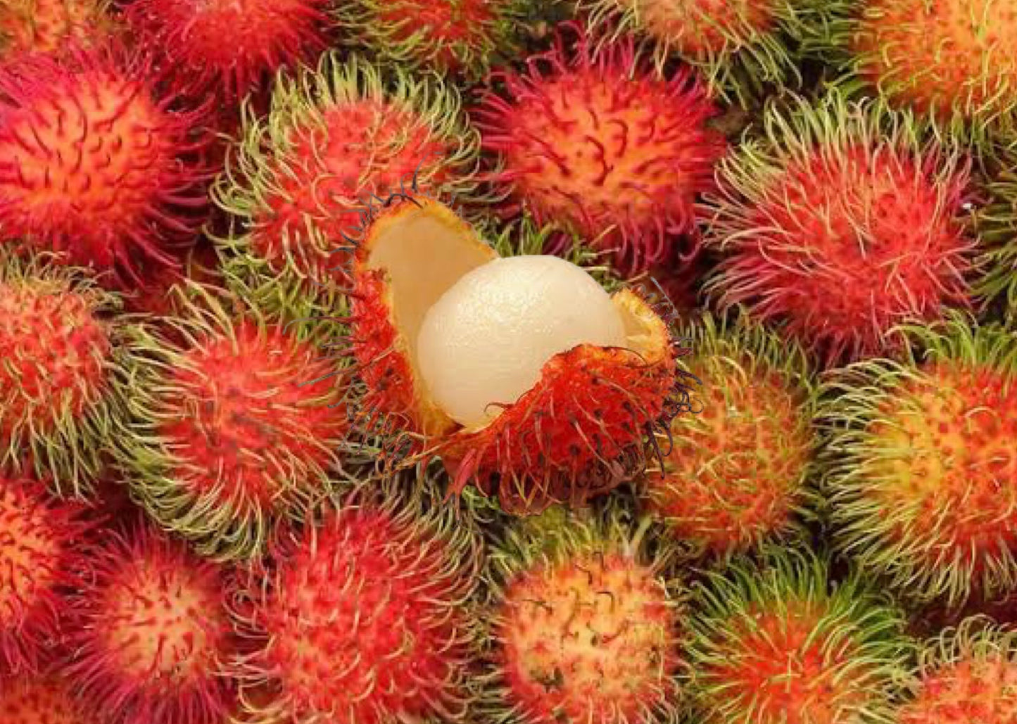 Rambutan