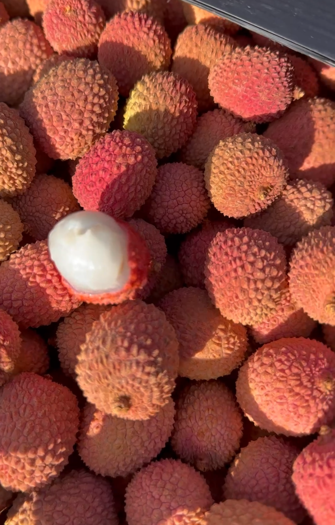Lychee