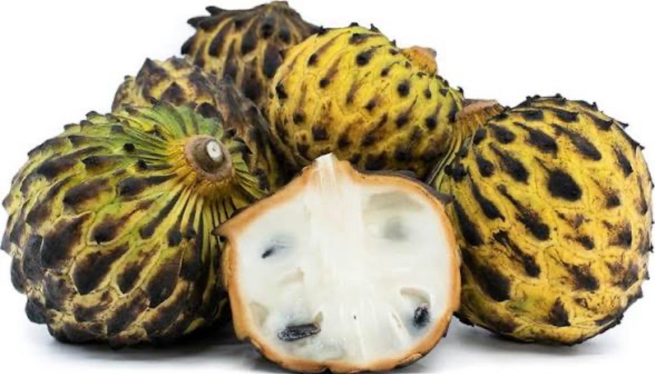 Rollinia