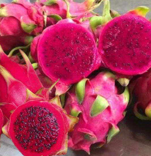 Red Dragon Fruit