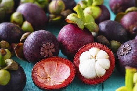 Mangosteen
