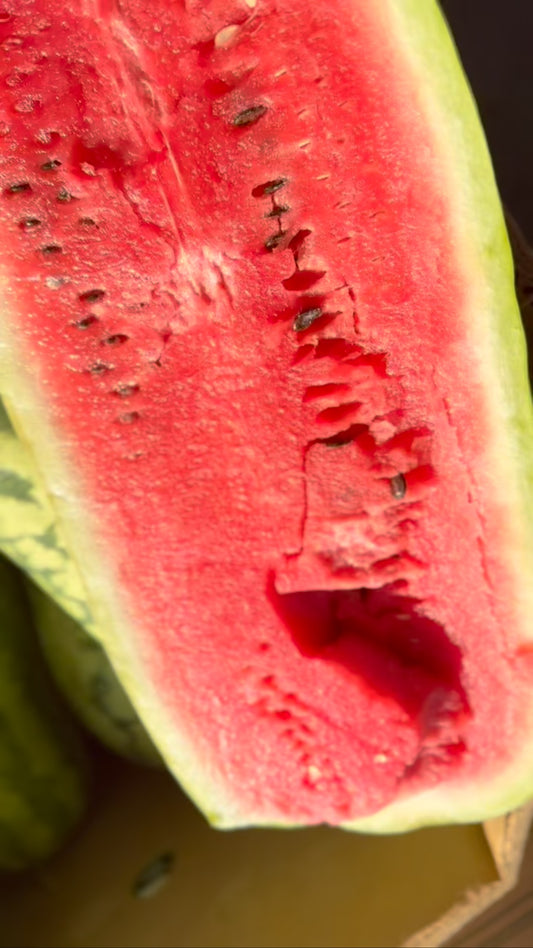 Red Watermelon