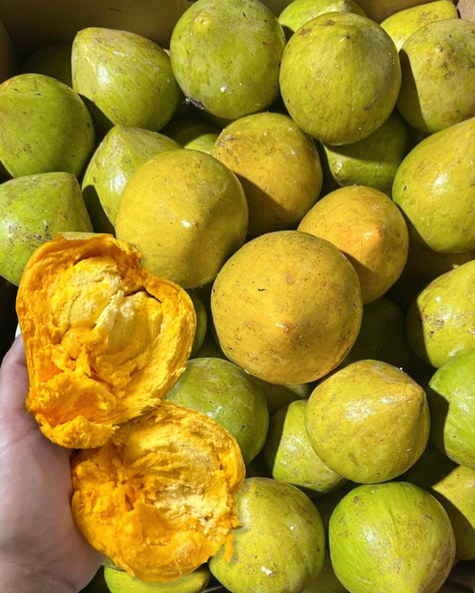 Egg Fruit Canistel