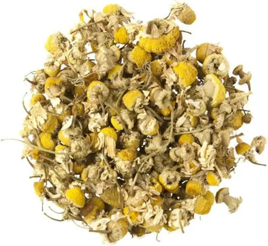 Egyptian Chamomile