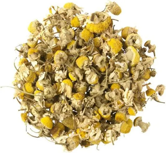 Egyptian Chamomile