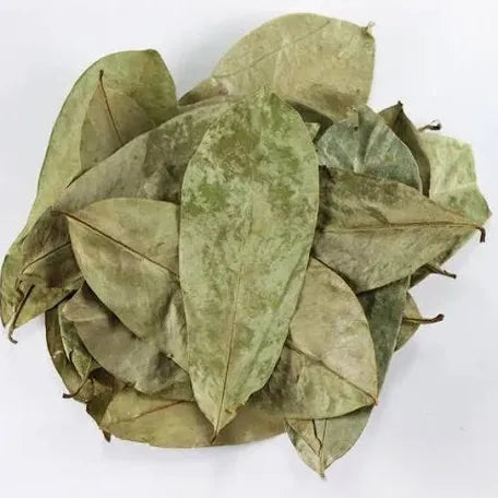 SOURSOP LEAVES