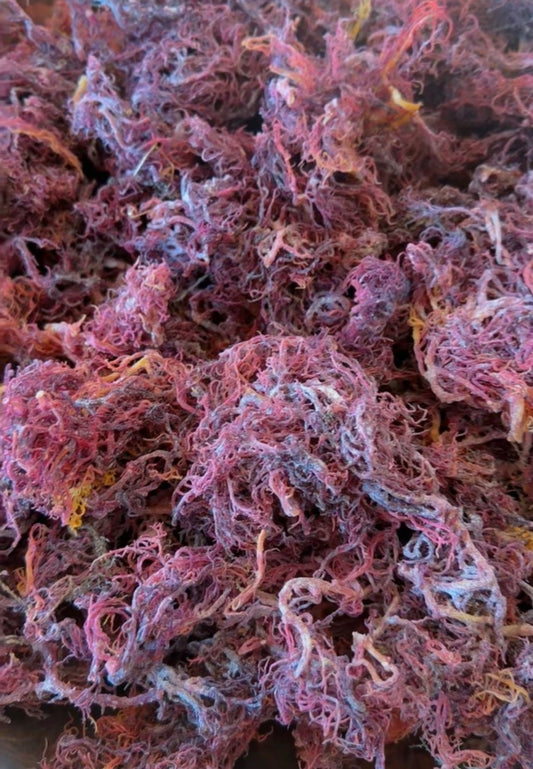 St Lucia Purple Seamoss